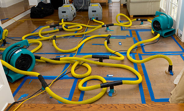Professional Crawl Space Water Removal technician working in Blooming Grove, TX